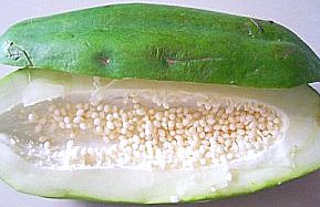 green papaya for skin whitening